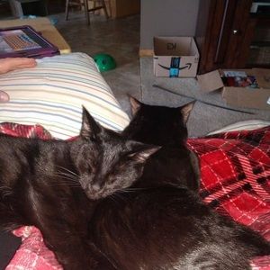 Meet your Posher, Angela